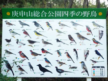 インクジェット